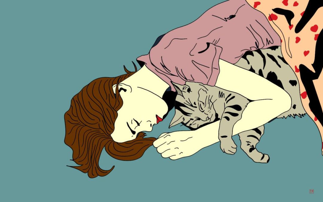 Коти в воєнний час: як допомогти улюбленцю