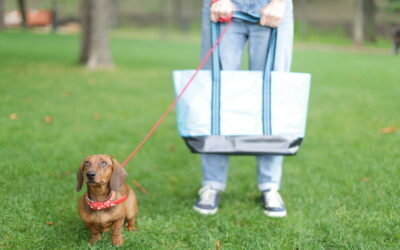 Як екологічно відпочивати на природі