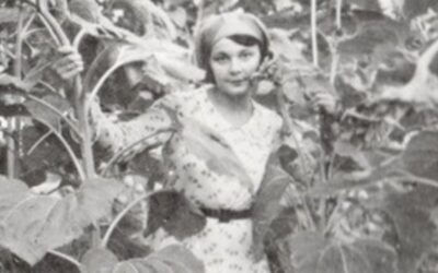«Коли я не повернусь, то не забувайте про мене. Коли я загину, то знайте, що свій обов’язок сповнила до кінця». Ким була Олена Теліга