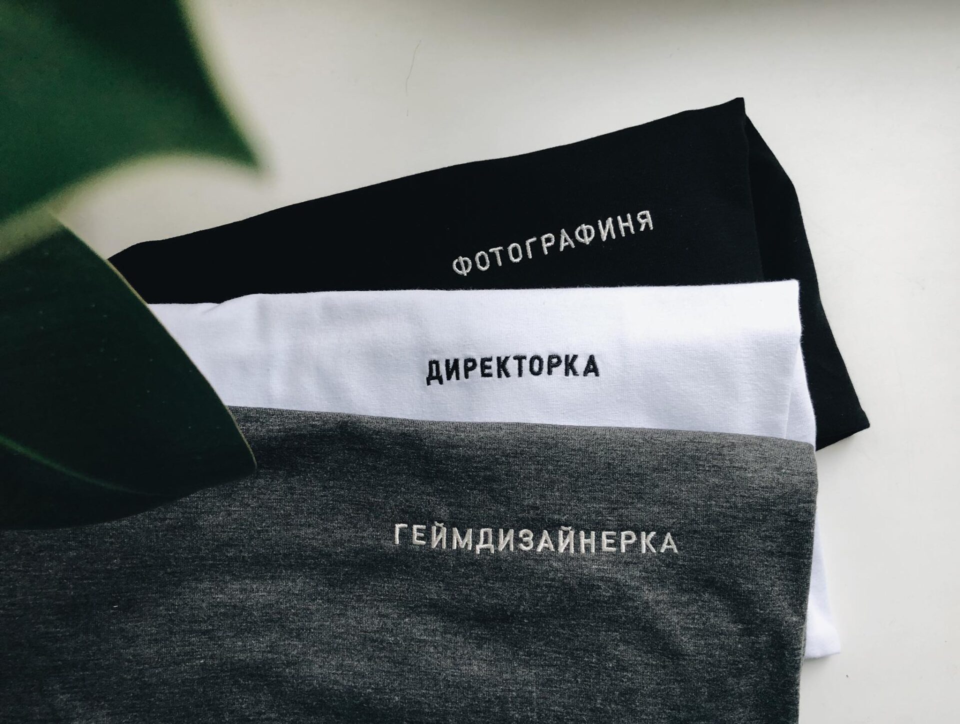 словник фемінітивів, фемінітиви