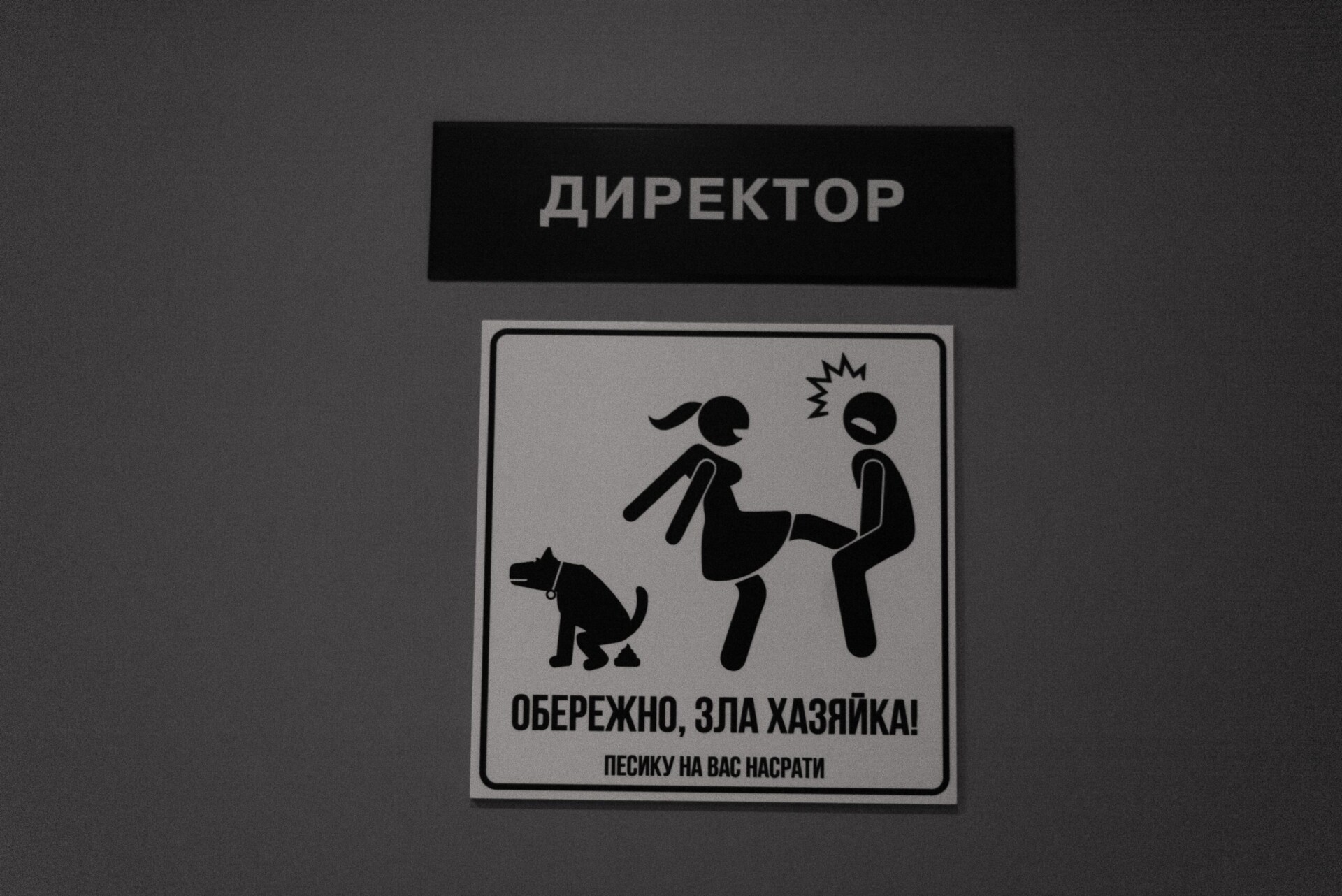 «Жіночий ветеранський рух»