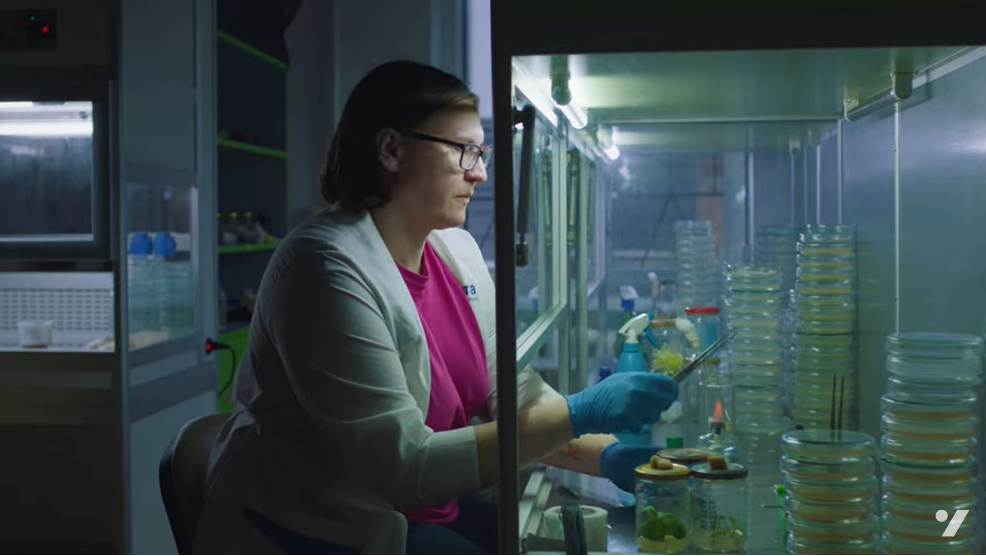 Проєкт Науковиці