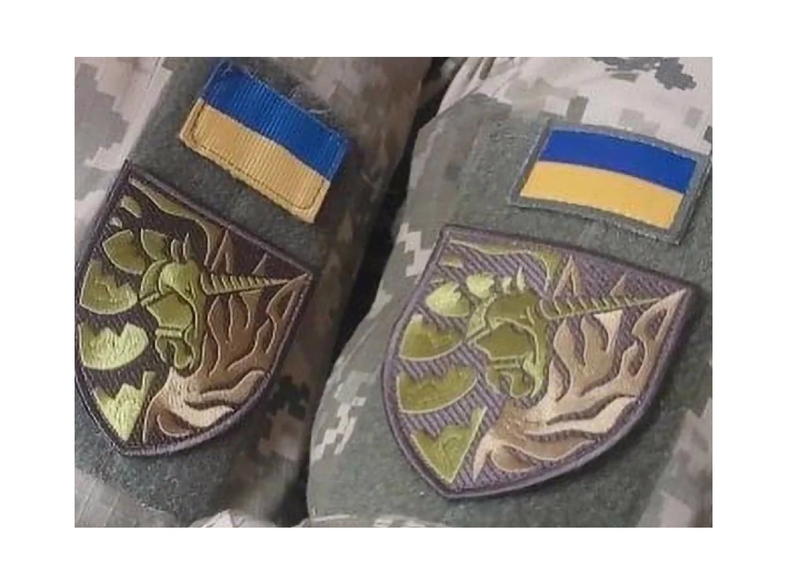 До Верховної Ради подали законопроєкт про реєстровані партнерства: що це означає