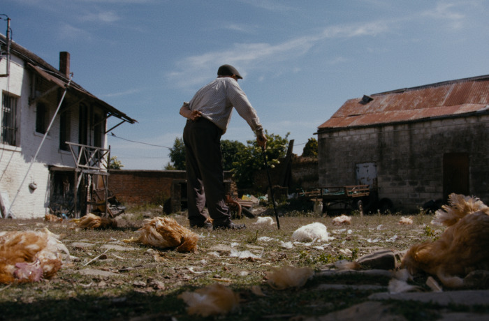 «Образ майбутнього». Жіночі фільми на Docudays UA 