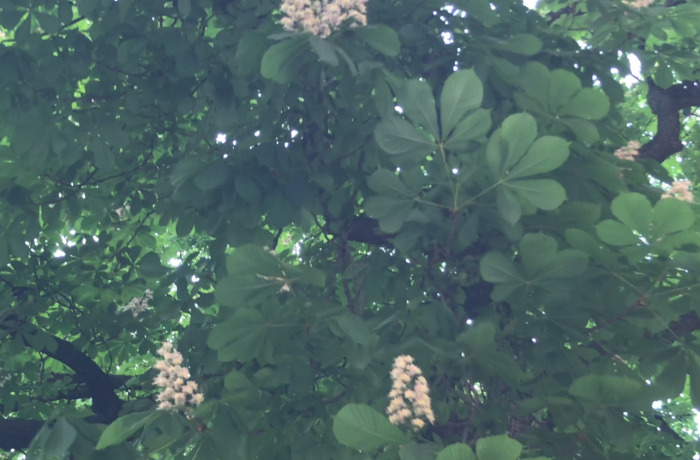 «Образ майбутнього». Жіночі фільми на Docudays UA 