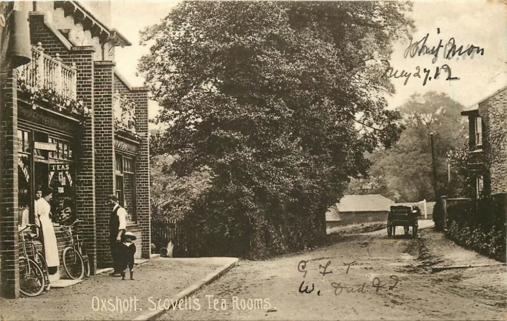 Чай та жіночі права: Як чаювання рухало фемінізм