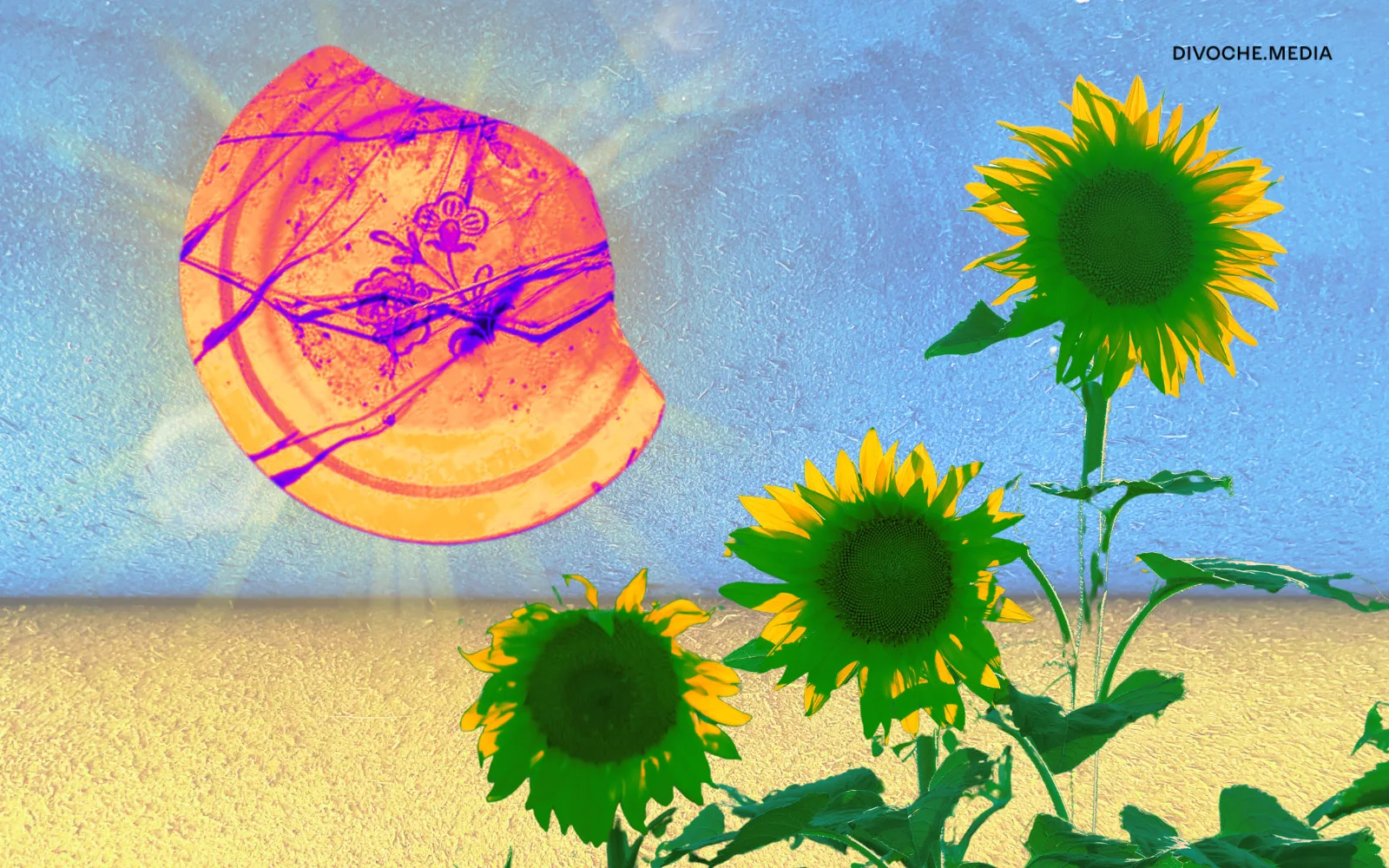 Зберегти памʼять, врятувати спадщину — історії про жінок, які збирають свідчення війни