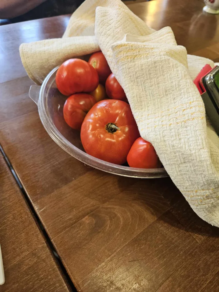 Зберегти памʼять, врятувати спадщину — історії про жінок, які збирають свідчення війни