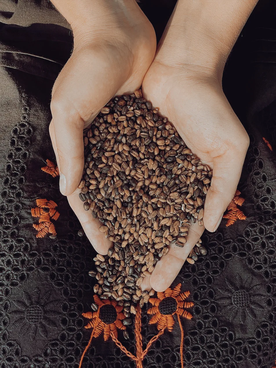 Художниця Марія Прошковська провела п'ятигодинний перформанс в музеї MAMBo