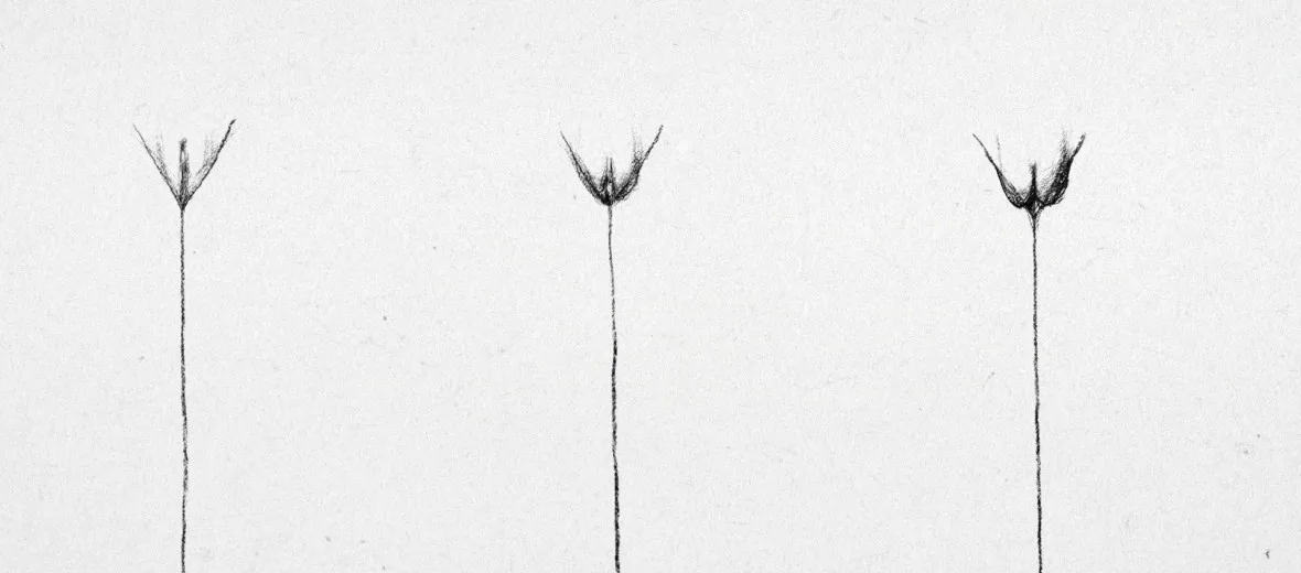 У Києві відбудеться ювілейний анімаційний фестиваль LINOLEUM: більшість фільмів у національному конкурсі створені жінками