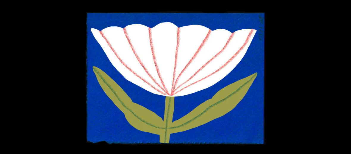 У Києві відбудеться ювілейний анімаційний фестиваль LINOLEUM: більшість фільмів у національному конкурсі створені жінками