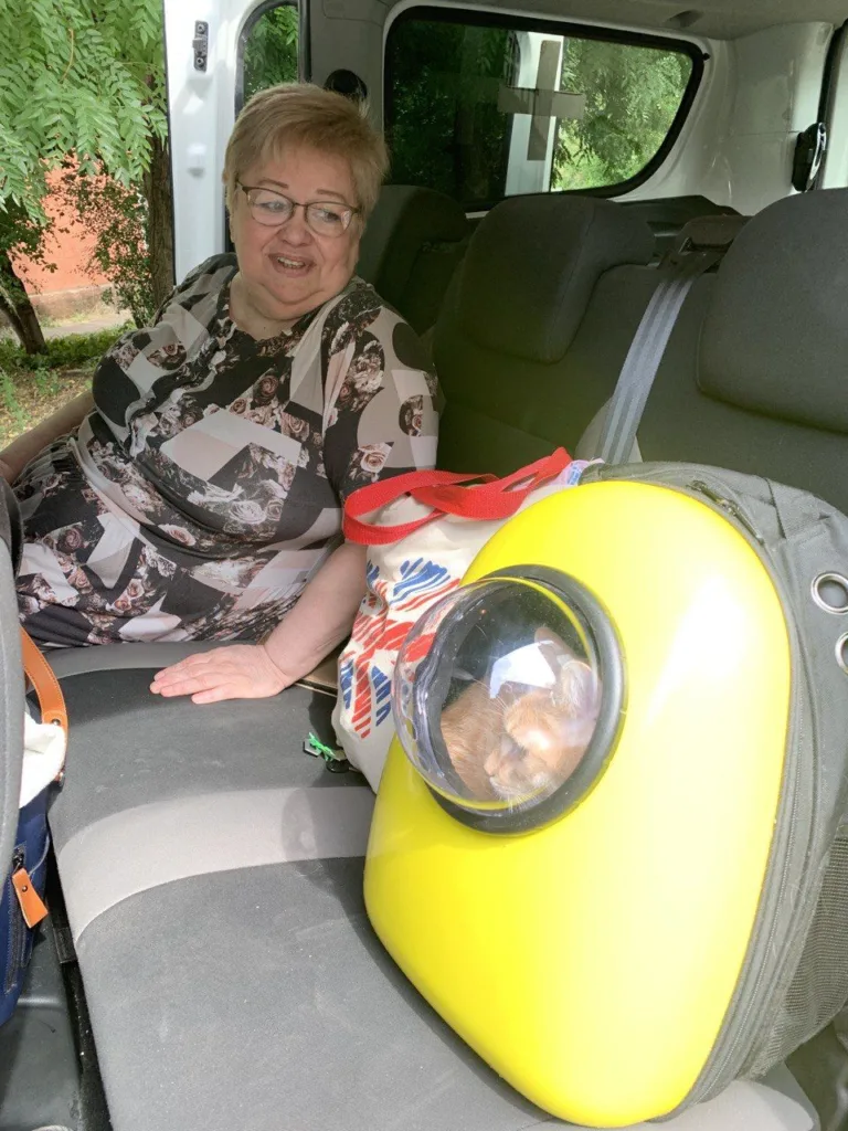 Евакуюватися не можна залишитися. Як жінкам з інвалідністю отримати допомогу під час війни