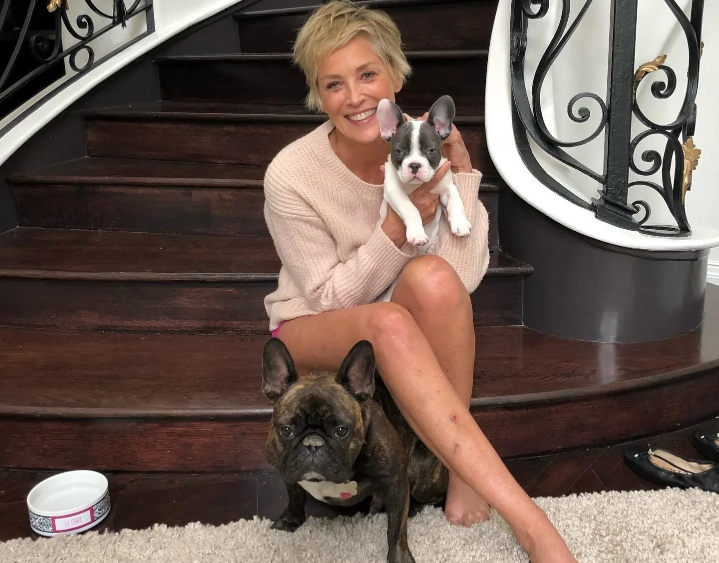 Шерон Стоун розповіла про сексуальні домагання колишнього глави Sony