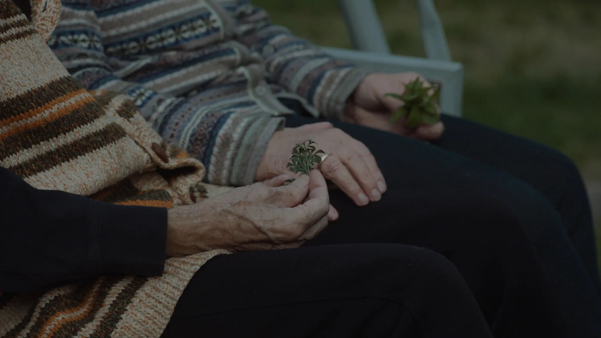 «Іван і Марта». У прокат виходить фільм про любов і боротьбу подружжя шістдесятників Дзюб