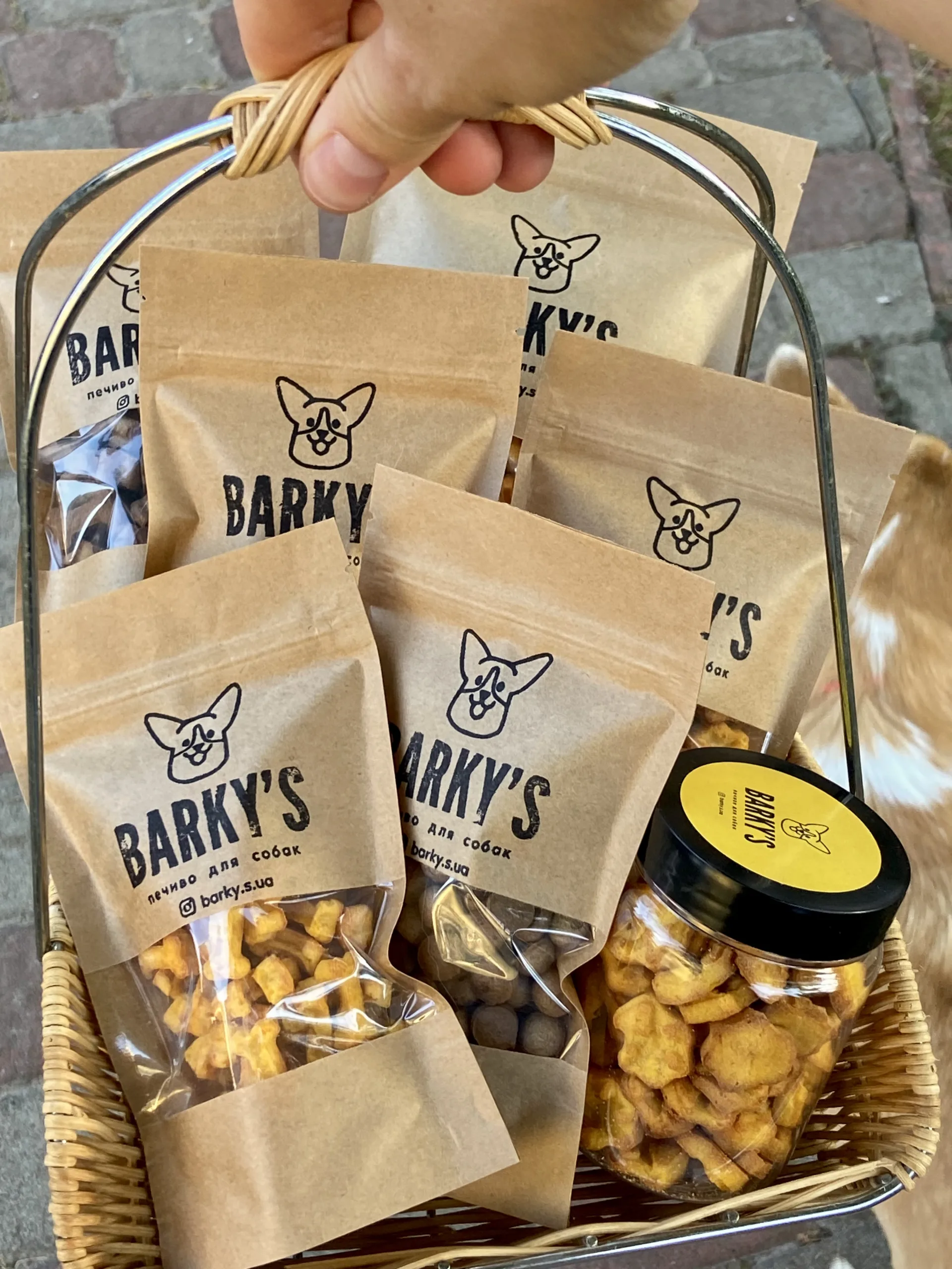 Спроможні творити та перемагати. Як жінки розвивають бізнес в Україні