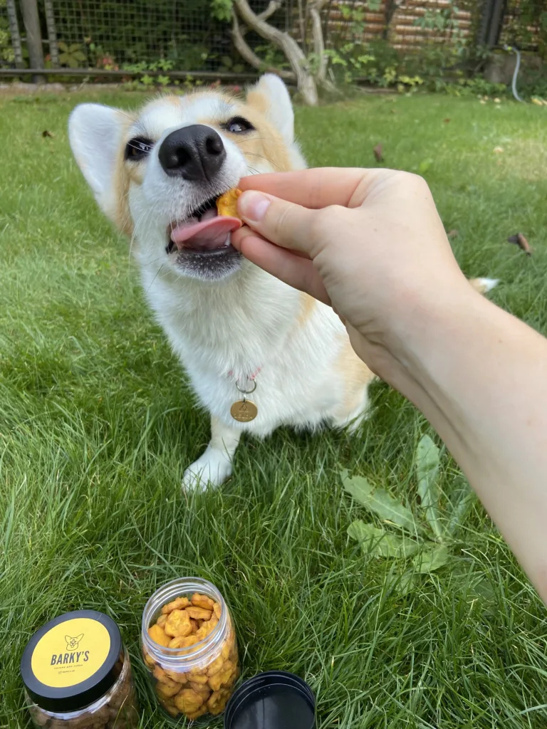 Спроможні творити та перемагати. Як жінки розвивають бізнес в Україні