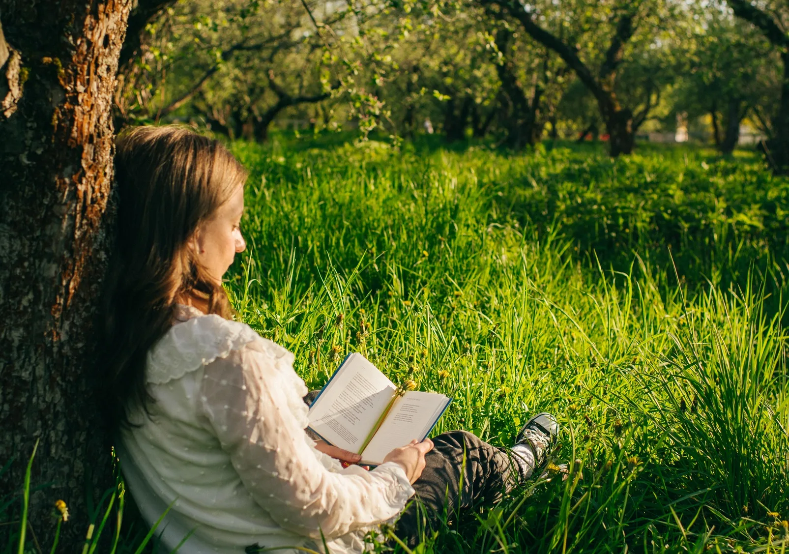 У Києві проведуть фестиваль «Книжкова країна». Що очікує на відвідувачок