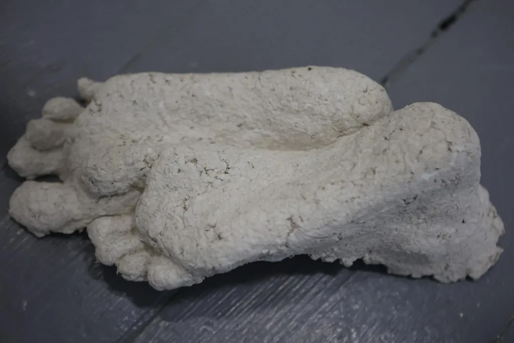 Терапія «Тілом». Рефлексія на виставку Євгенії Григор’ян 