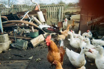 «Кінець війни, перемога і чохол на телефон». Діти з півдня України розповіли про свої мрії у фотопроєкті Behind Blue Eyes