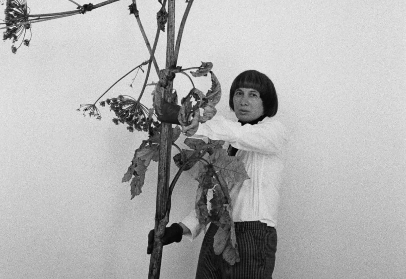 В Одеському художньому музеї покажуть відеороботу «Все нормально?» та інсталяцію Алевтини Кахідзе