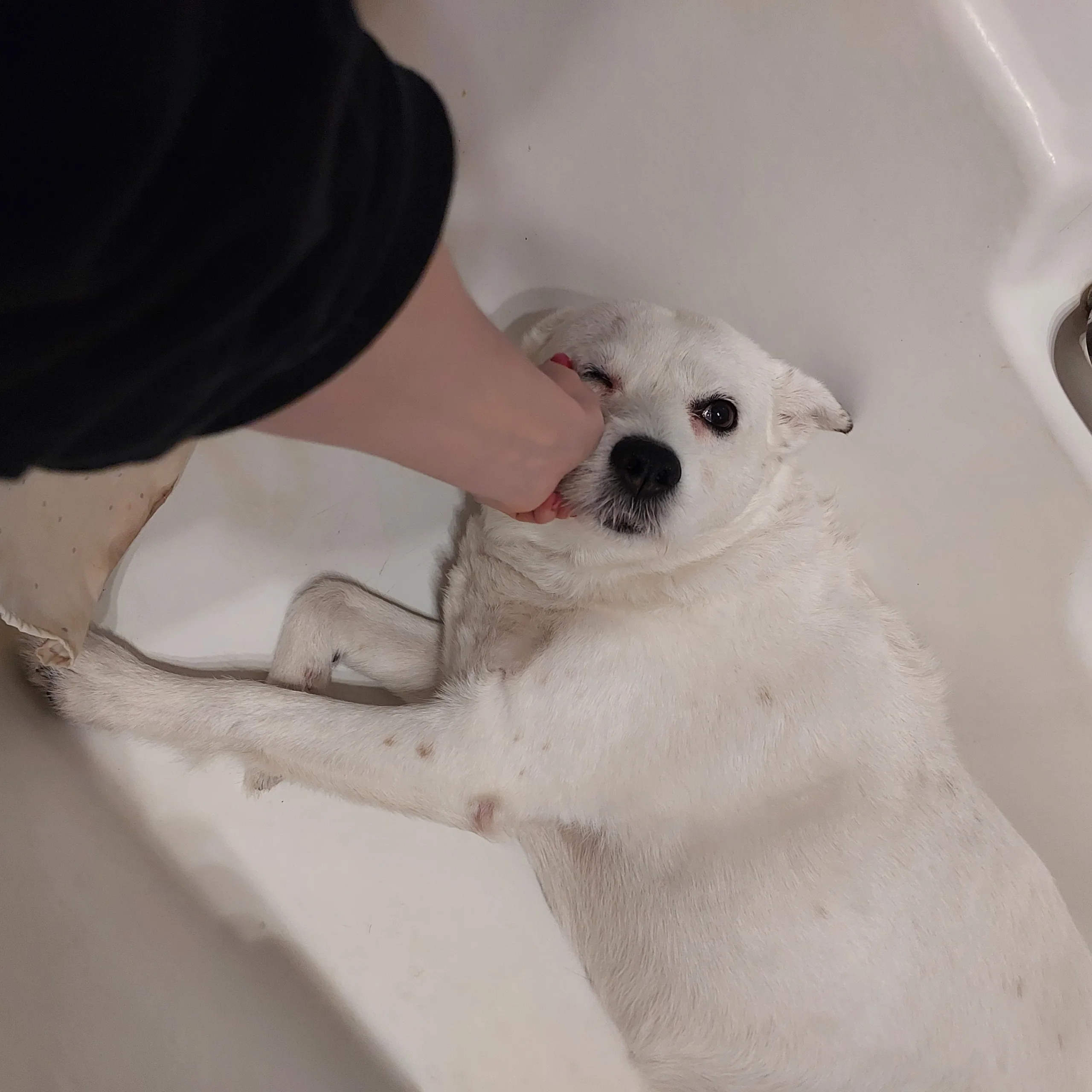 У місті літають КАБи і метелики