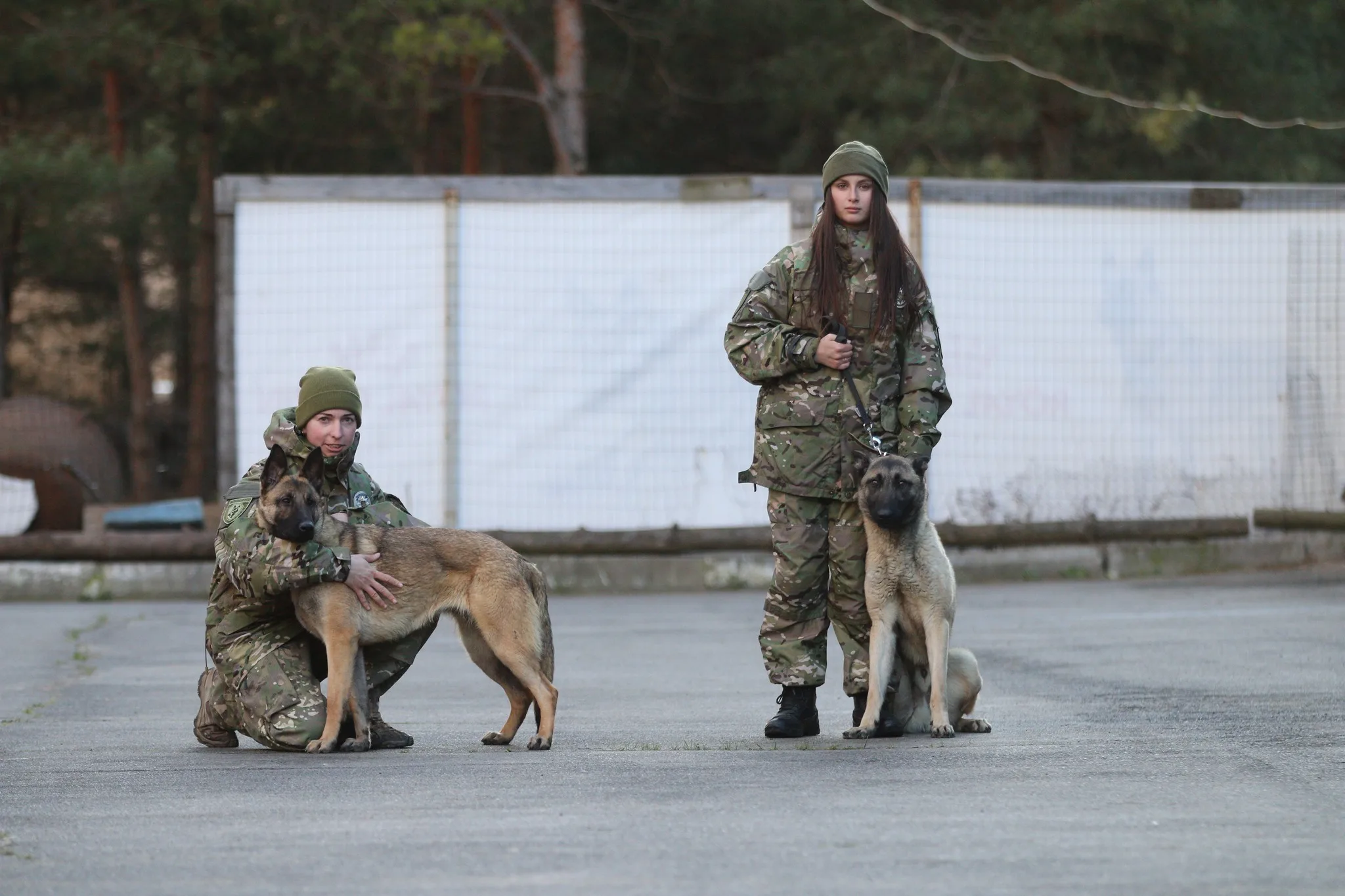 В Україні зібрали понад 25 тисяч підписів під петицією про створення зоополіції
