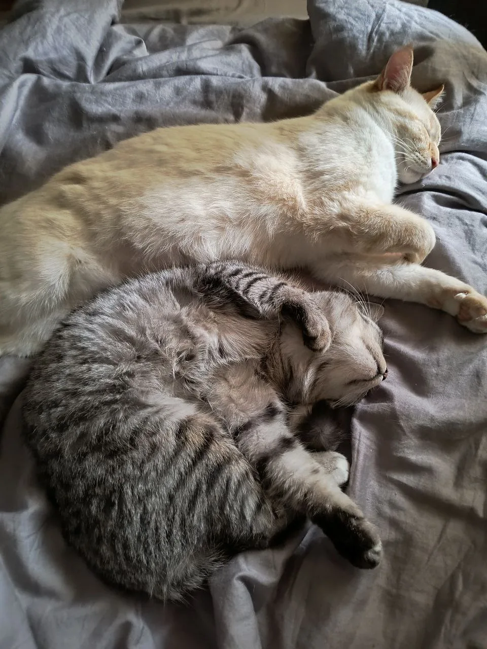 «Більше думала про те, що я зможу дати дитині, а тут бачу, що сама отримую». Ольга Тимченко про оформлення опікунства