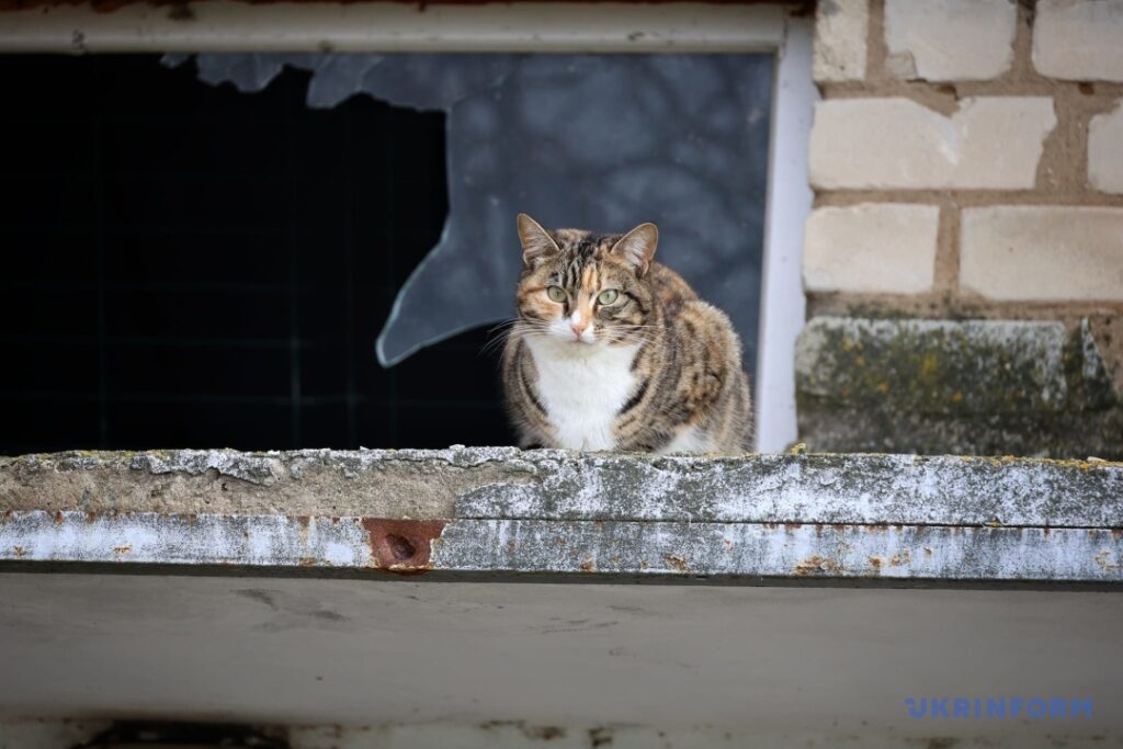 «Фотографія здатна розповісти історію за допомогою одного кадру». Як і для чого українська фотографка Ніна Ляшонок знімає наслідки війни
