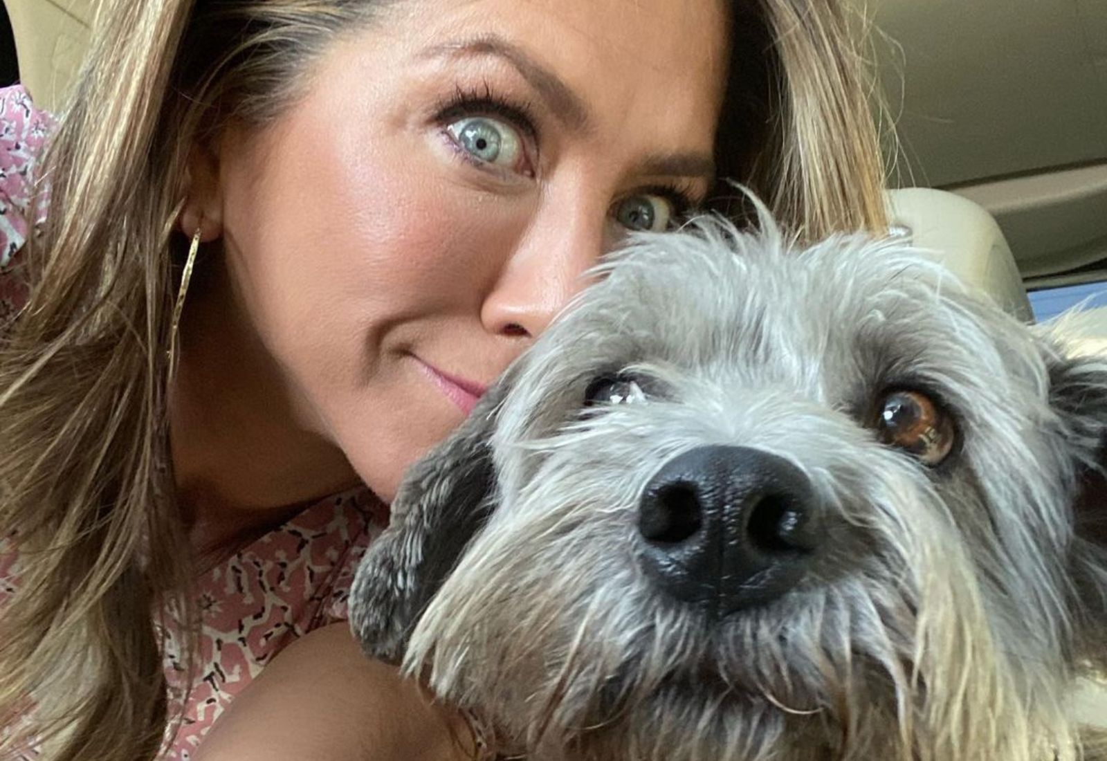 Дженніфер Еністон випустить книжки для дітей — головним героєм стане її собака Клайдео