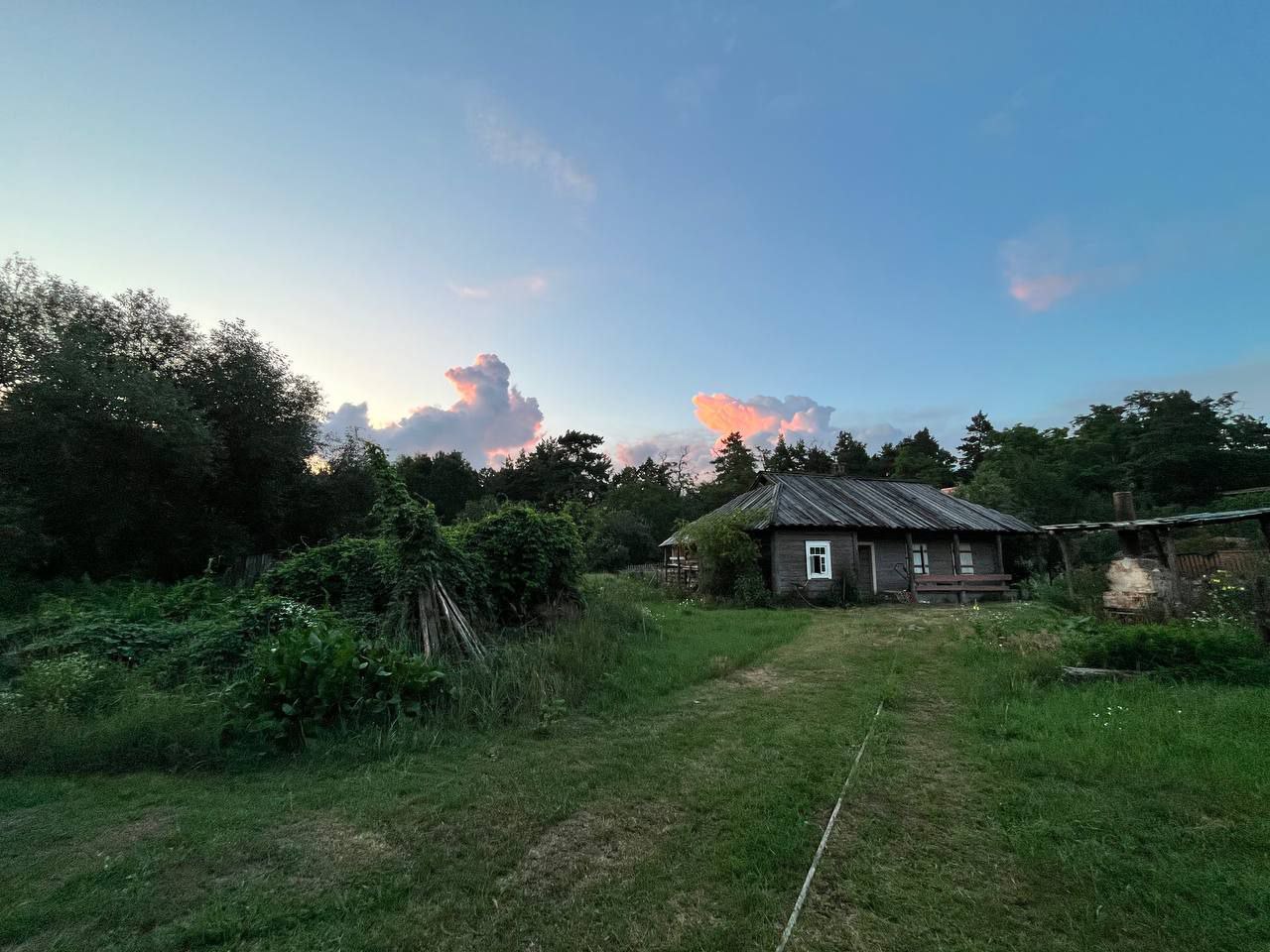 Горорні фільми, війна і короткий метр: Як українські кінорежисерки знімають фестивальне кіно