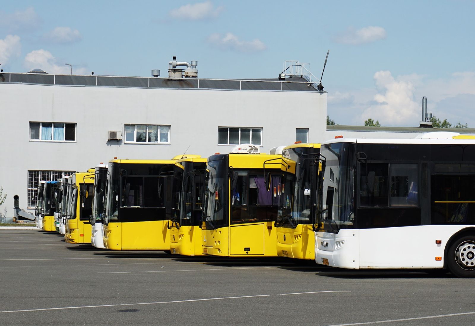 В Україні запустили проєкт із безоплатного навчання жінок на водійок автобусів
