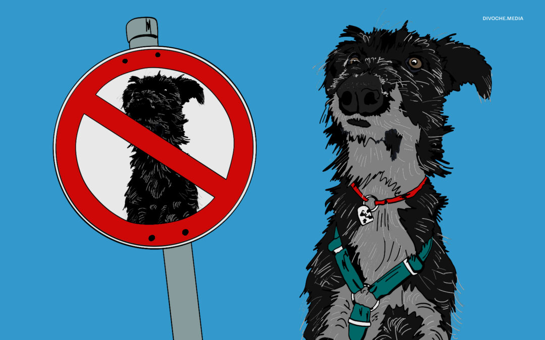 Всі статті 23 Петс(не)френдлі