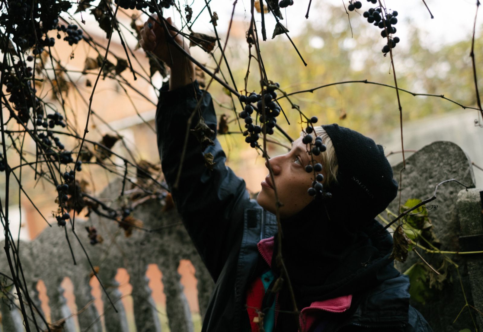 Проєкт Deocoupage у колаборації з фотографинею Тетяною Spasi Sohrani випустив серію колекційного вина, щоб допомогти ветеранам