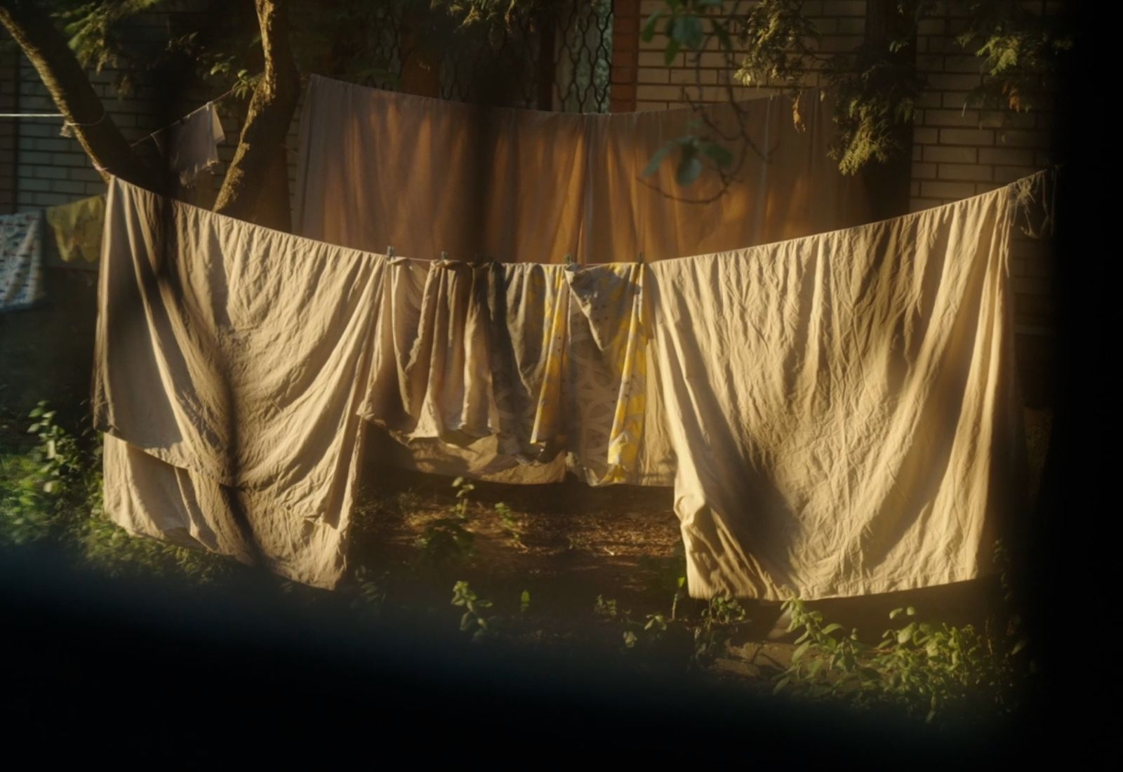 П’ять історій про канікули, дитинство та чуттєве проживання літа. «Такфлікс» випустив добірку короткого метру «Літувати»