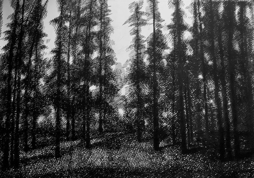 У Києві відбудеться персональна виставка української художниці Марини Талютто «Там, де ти є»