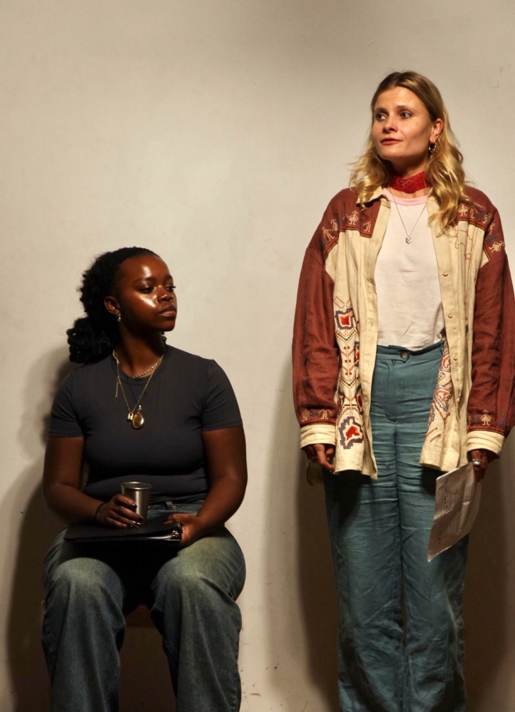 Diary of War: Women. Американські акторки прочитали історії українок у війні, зібравши понад $11 тисяч для «Госпітальєрів»