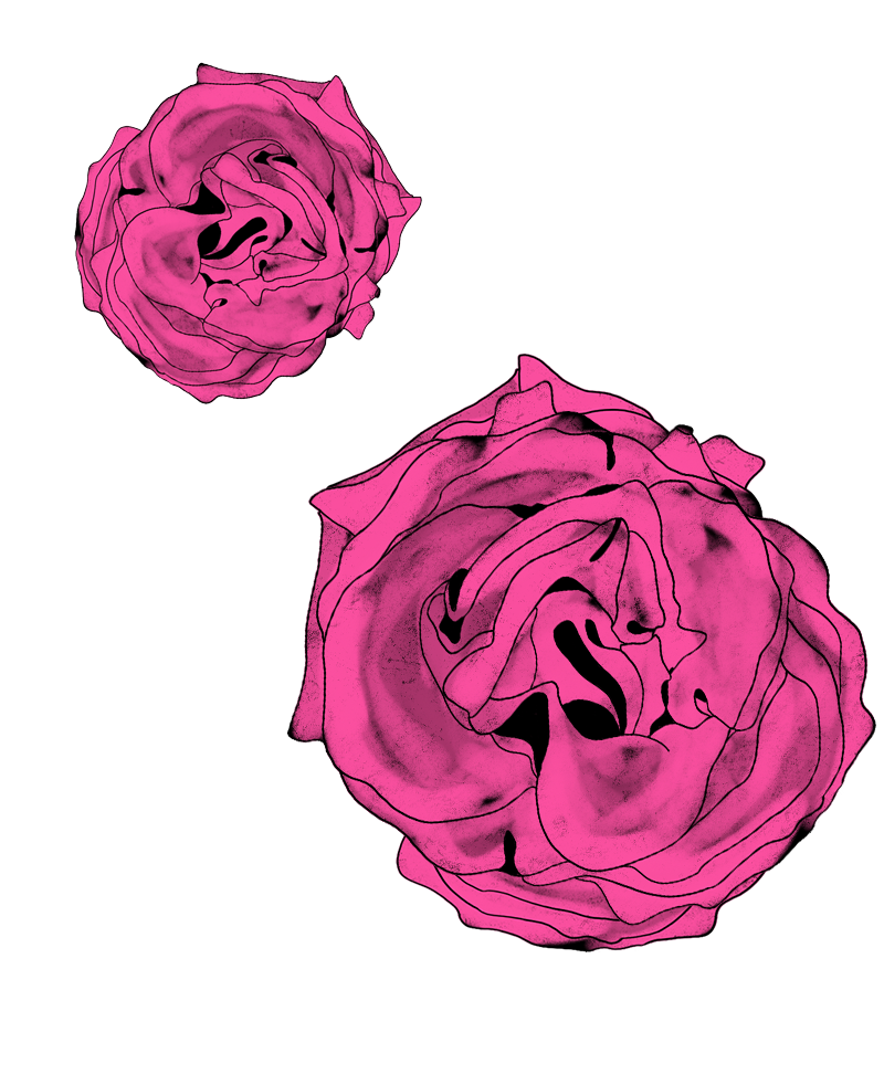 Скринінг раку шийки матки: Коли здавати ПАП-тест і як готуватися до процедури