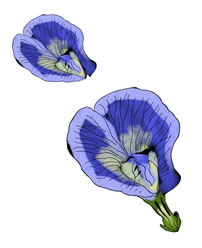 Скринінг раку шийки матки: Коли здавати ПАП-тест і як готуватися до процедури