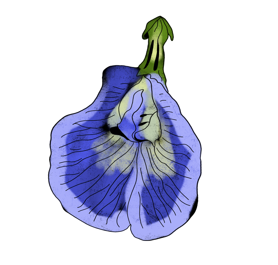 Скринінг раку шийки матки: Коли здавати ПАП-тест і як готуватися до процедури 4 Скринінг раку шийки матки: Коли здавати ПАП-тест і як готуватися до процедури