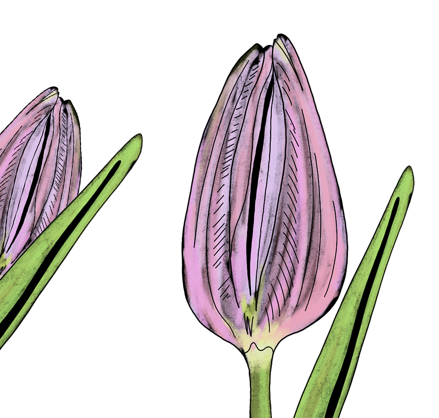 Скринінг раку шийки матки: Коли здавати ПАП-тест і як готуватися до процедури