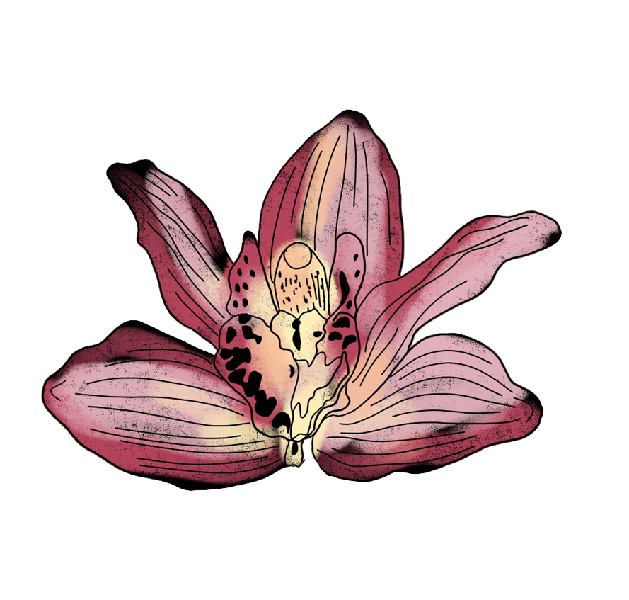 Скринінг раку шийки матки: Коли здавати ПАП-тест і як готуватися до процедури 5 Скринінг раку шийки матки: Коли здавати ПАП-тест і як готуватися до процедури