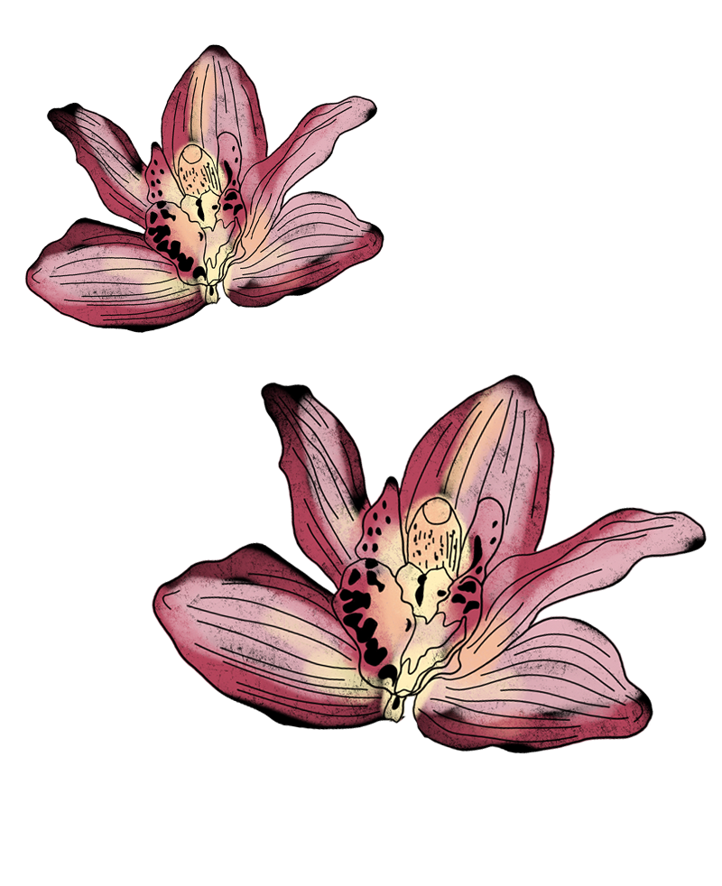 Скринінг раку шийки матки: Коли здавати ПАП-тест і як готуватися до процедури