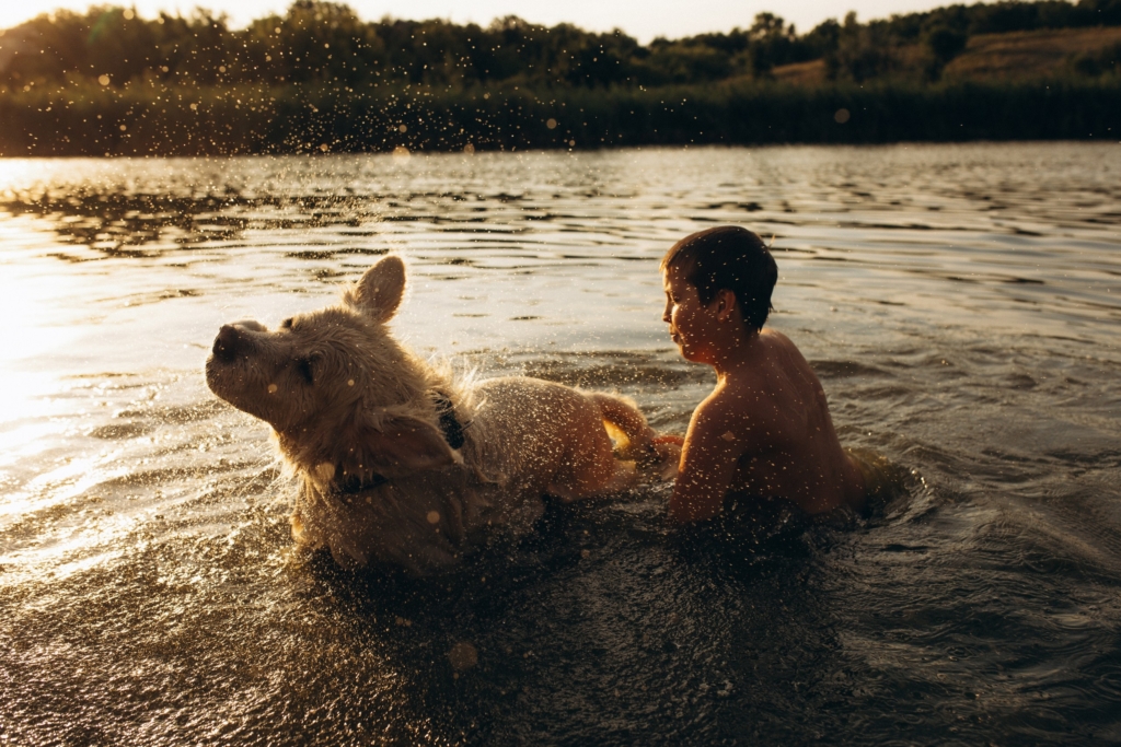 «Ми рятуємо тварин, а потім вони рятують людей». Як працює реабілітаційний центр «Зелений Гай»