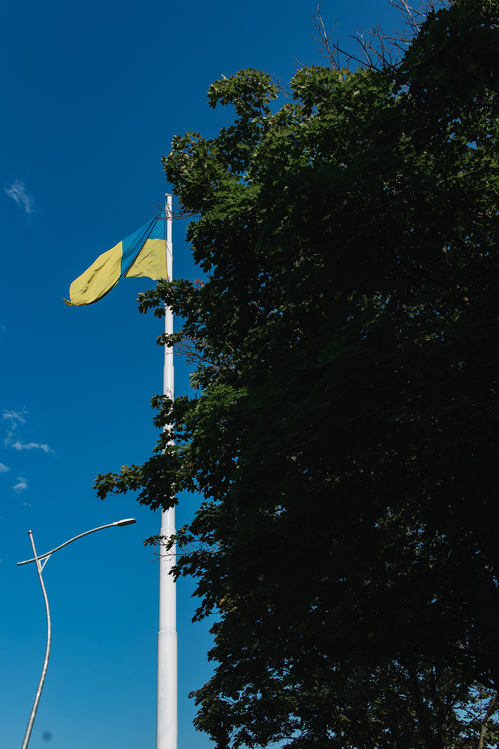 «‎Я просто допомагала людям. Уже потім мені сказали, що це ‎громадська діяльність». Історія фотографки зі Слов’янська Ольги Чернікової