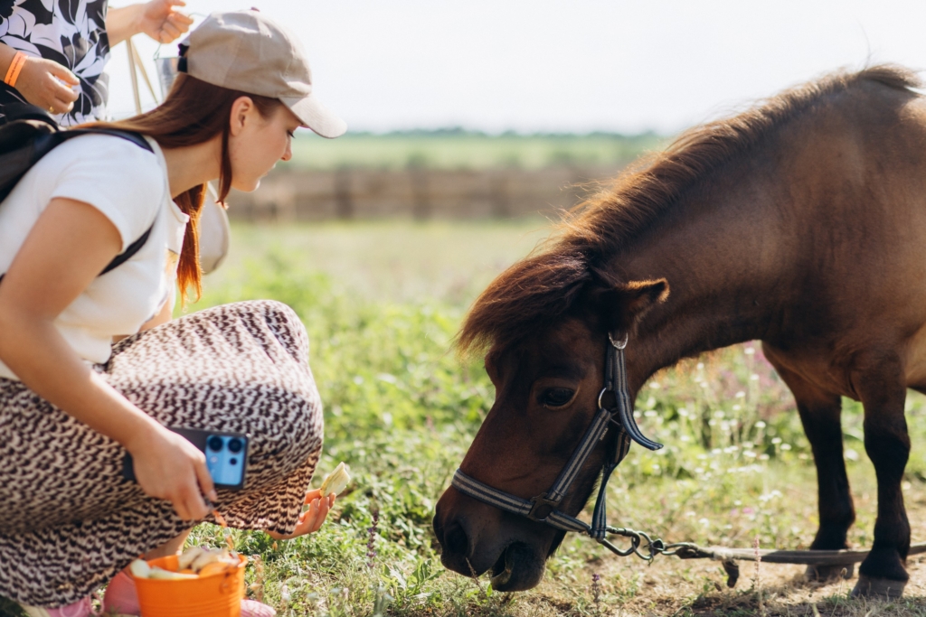«Ми рятуємо тварин, а потім вони рятують людей». Як працює реабілітаційний центр «Зелений Гай»