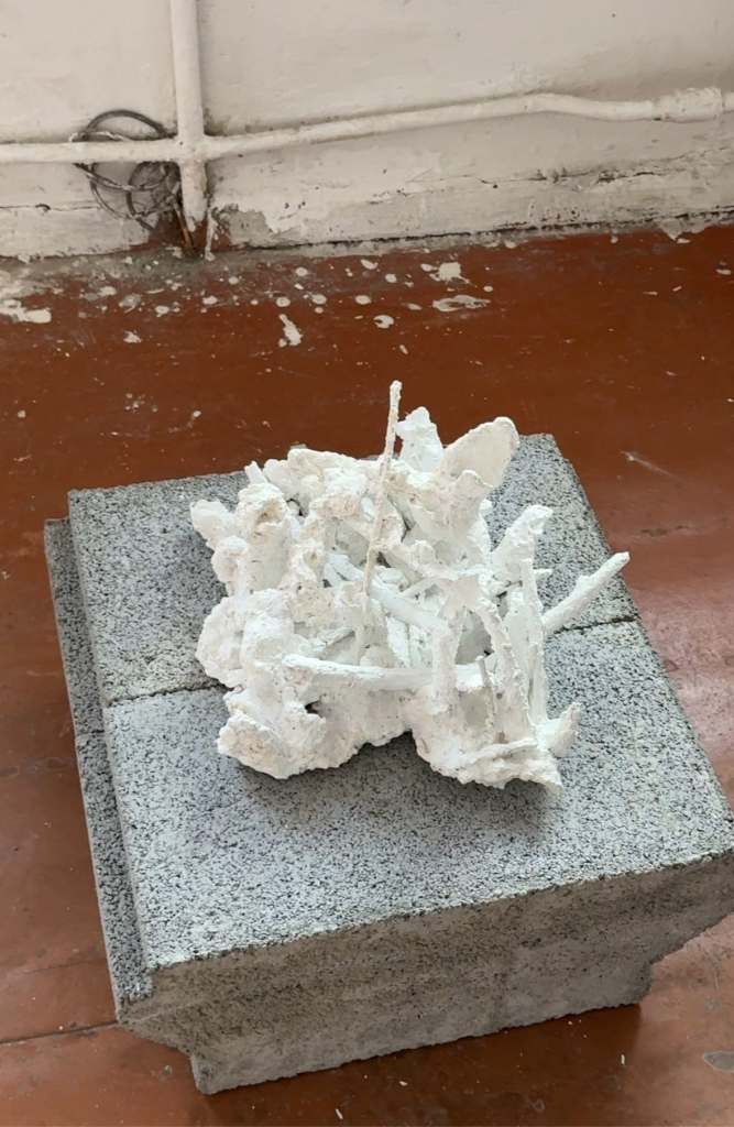 «Чи вважаю я міста України, з якими у мене немає зв’язку, своїм домом?» Як мистецька резиденція об’єднала художниць із різних регіонів країни