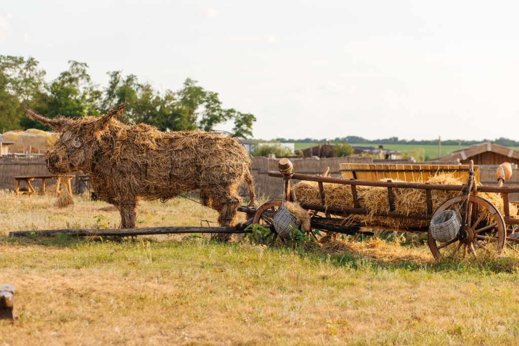 «Ми рятуємо тварин, а потім вони рятують людей». Як працює реабілітаційний центр «Зелений Гай»