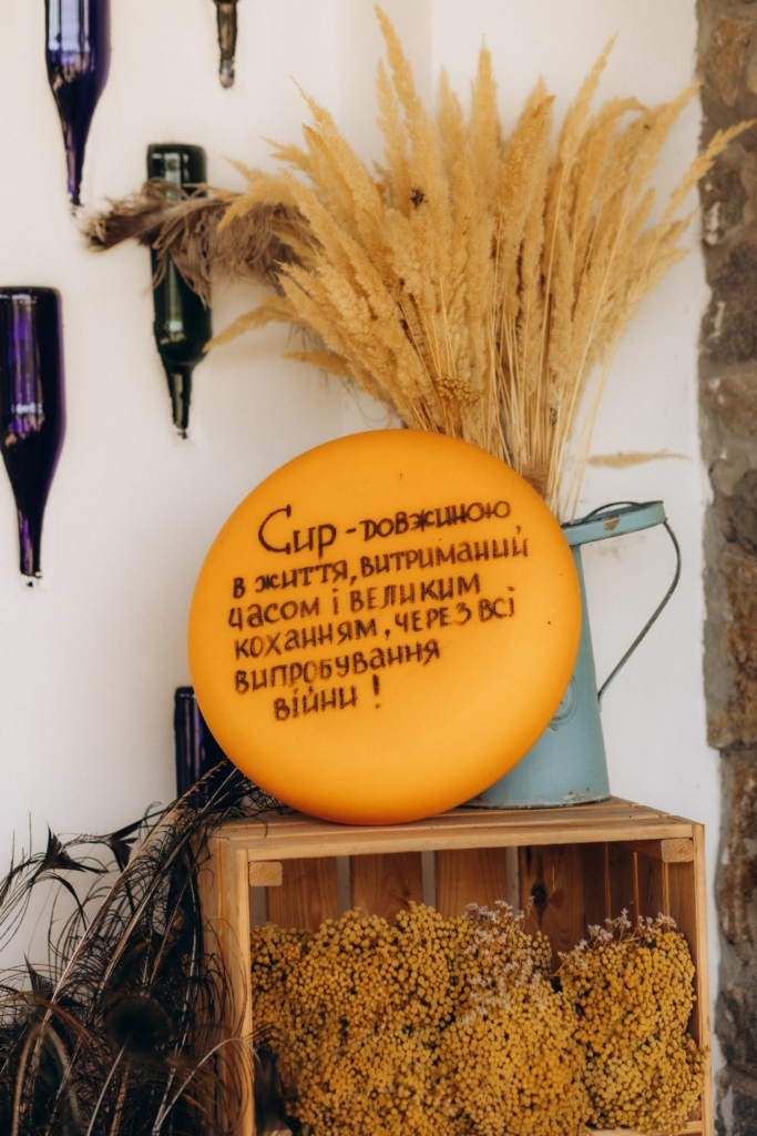 «Ми рятуємо тварин, а потім вони рятують людей». Як працює реабілітаційний центр «Зелений Гай»