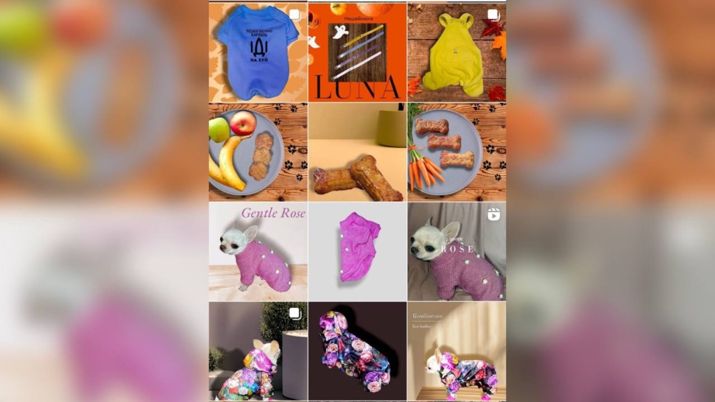 «Будувати життя з нуля та ставати видимими». Як тренінговий проєкт у Запоріжжі навчає жінок підприємництва