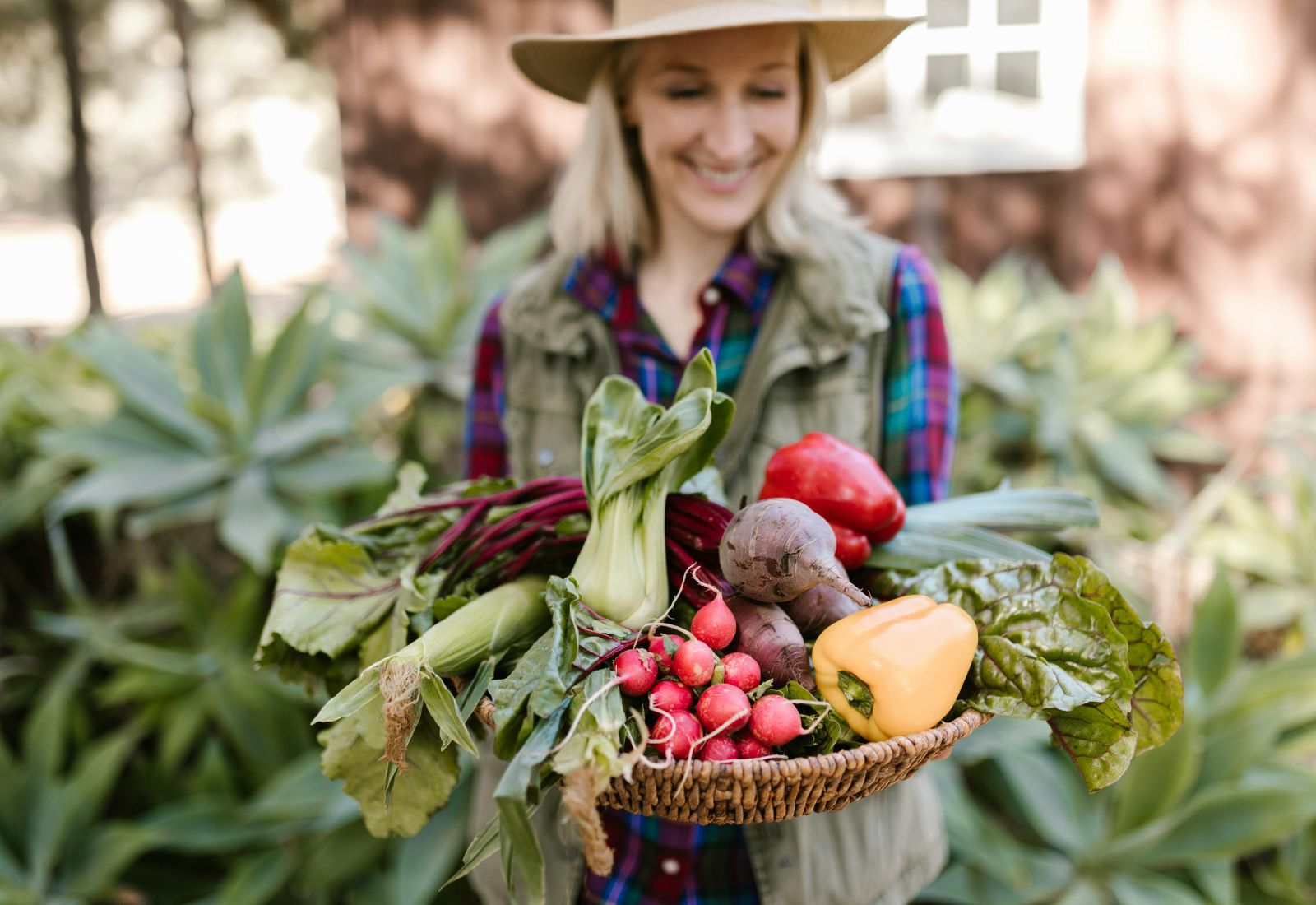 В Україні стартує освітньо-грантова програма для фермерок TalentA-2024: хто може взяти участь та як долучитися